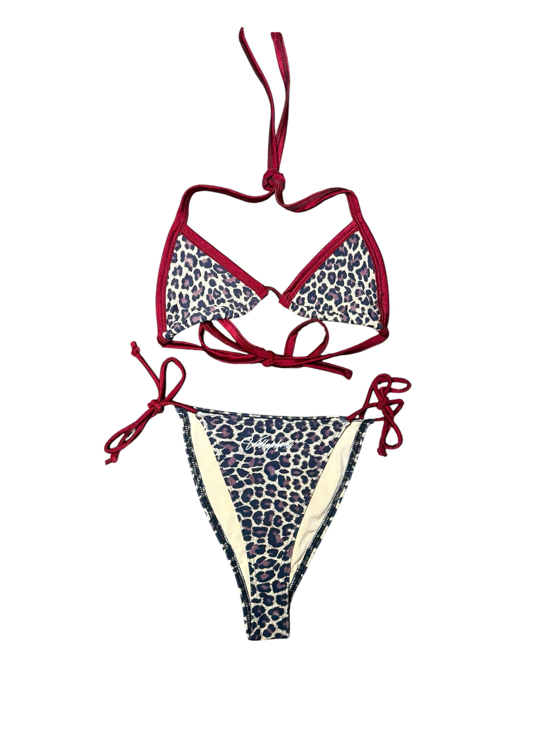 Cheetah Print 2 piece Bikini